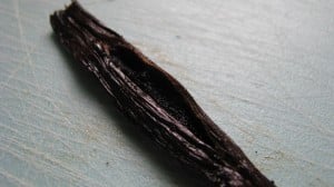 IMG_1883 IMG_1883