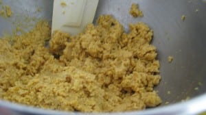 IMG_1998 IMG_1998