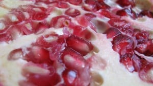 IMG_2039 IMG_2039