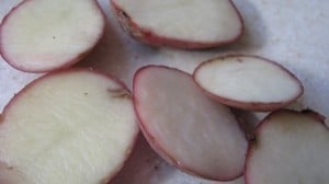 IMG_2045 IMG_2045