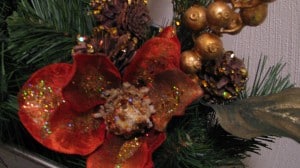 IMG_2230 IMG_2230
