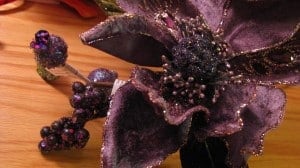 IMG_2348 IMG_2348