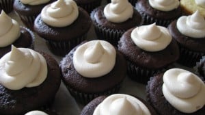 IMG_2442 IMG_2442