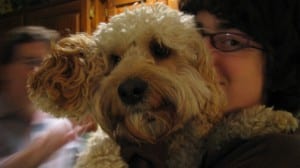 IMG_2469 IMG_2469