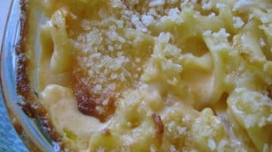 IMG_0796 IMG_0796