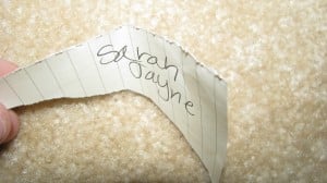 IMG_2542 IMG_2542