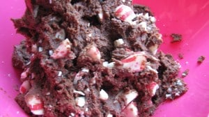IMG_2556 IMG_2556