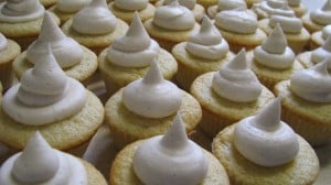 IMG_2579 IMG_2579