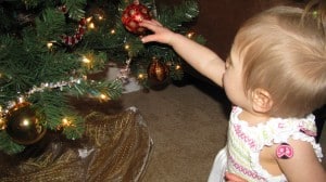IMG_2733 IMG_2733