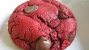 IMG_2806 IMG_2806