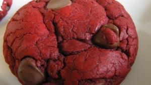 IMG_2807 IMG_2807