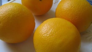 IMG_2836 IMG_2836