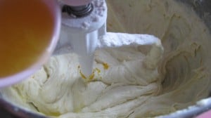 IMG_2843 IMG_2843