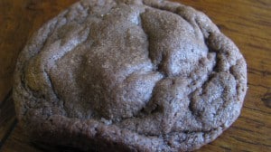 IMG_2848 IMG_2848