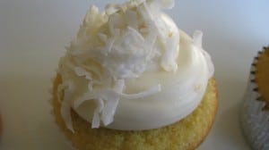 IMG_2873 IMG_2873