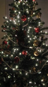 IMG_2880 IMG_2880
