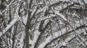 IMG_2886 IMG_2886