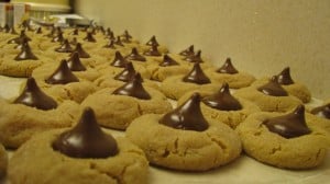 IMG_2953 IMG_2953