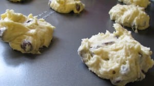 IMG_2973 IMG_2973