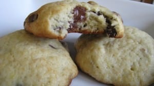 IMG_2984 IMG_2984