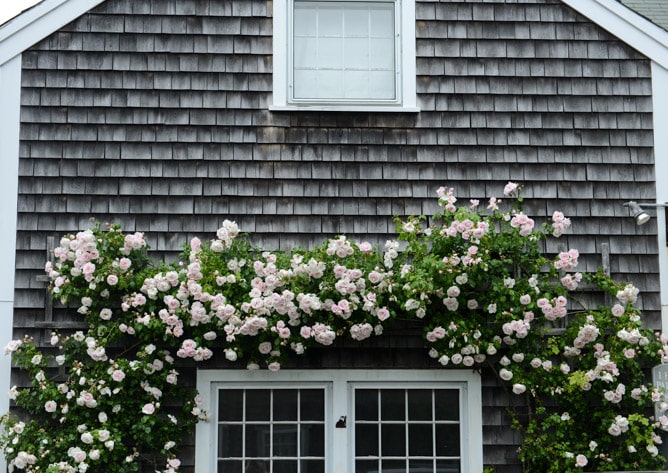 Nantucket-1