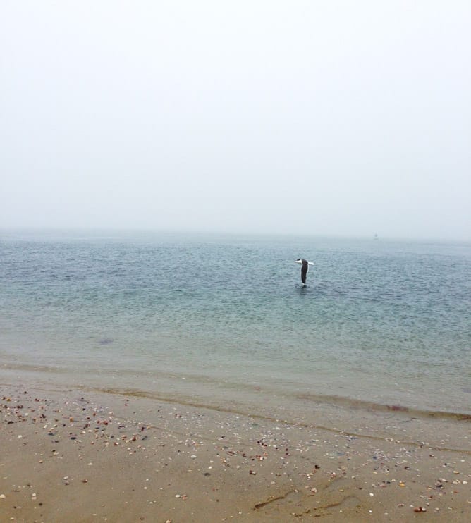 Nantucket-8-2
