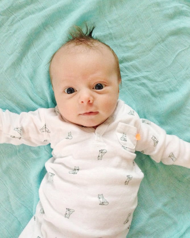 life with max: six weeks in I howsweeteats.com