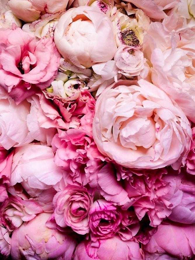 currently crushing on I howsweeteats.com