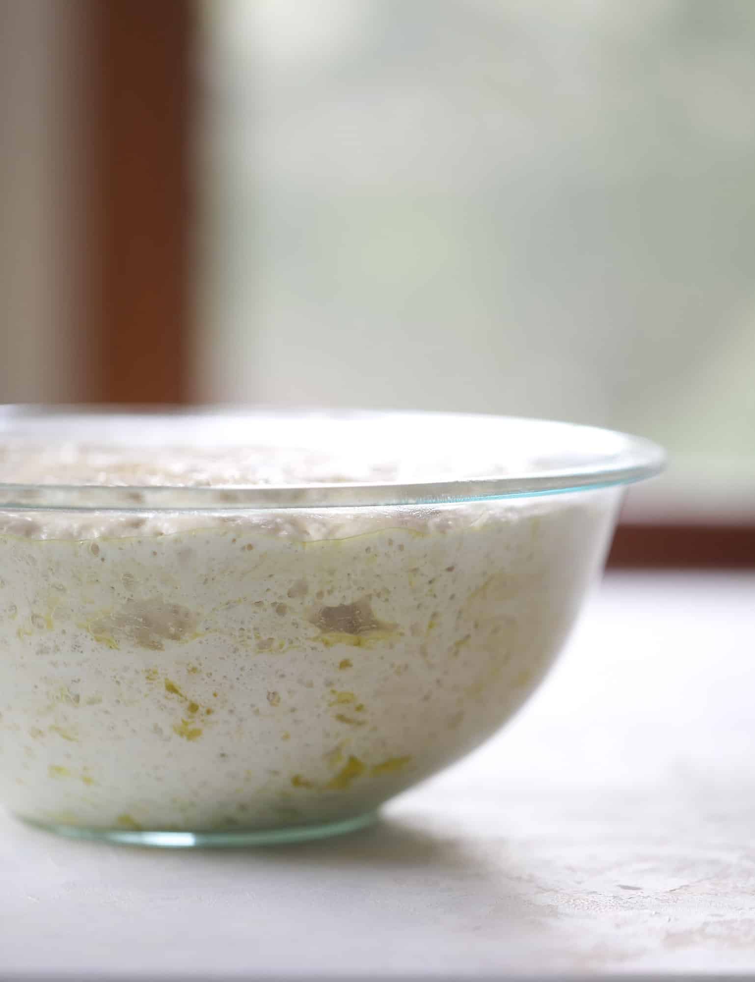 pizza dough rising