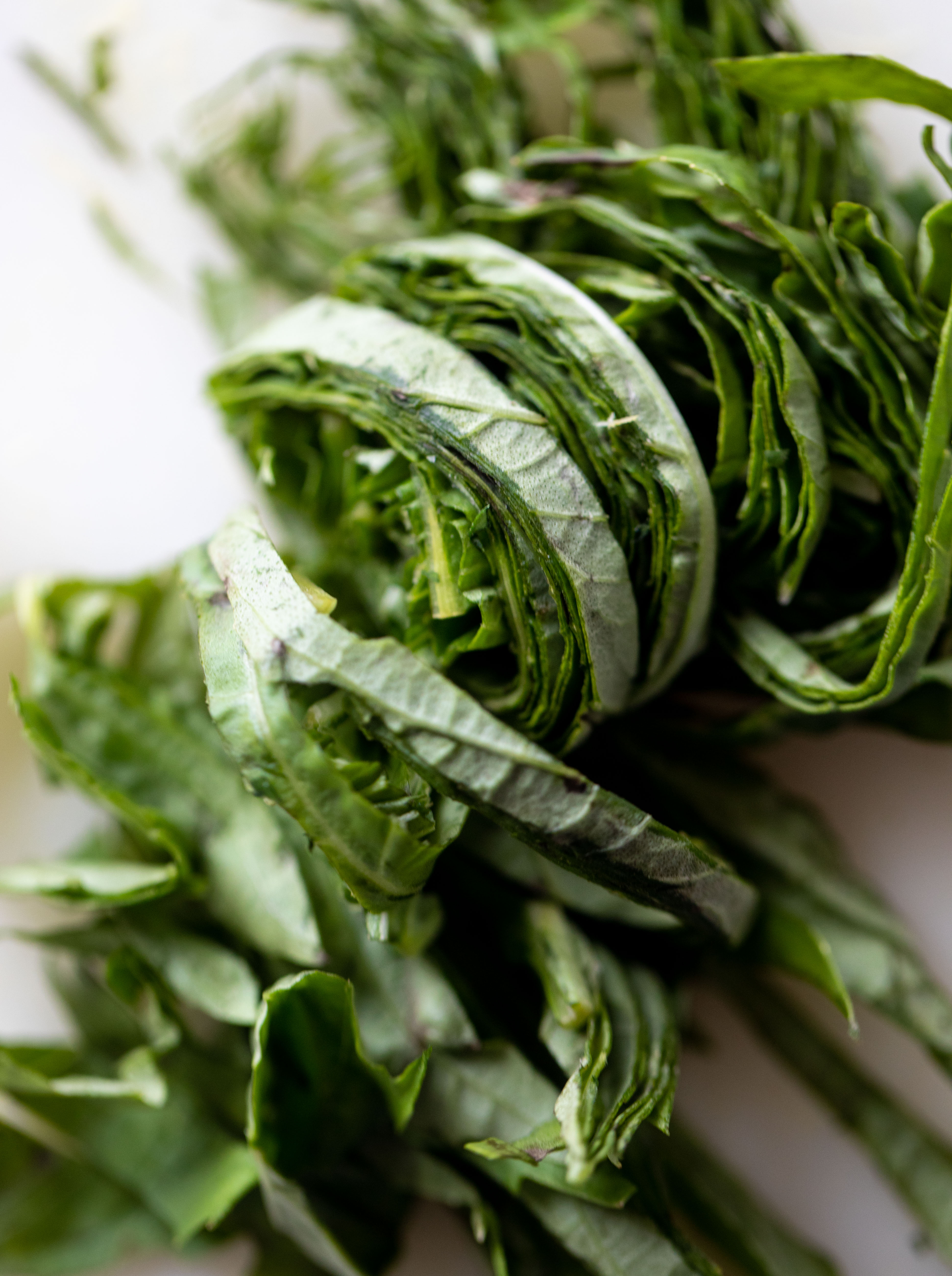 fresh basil