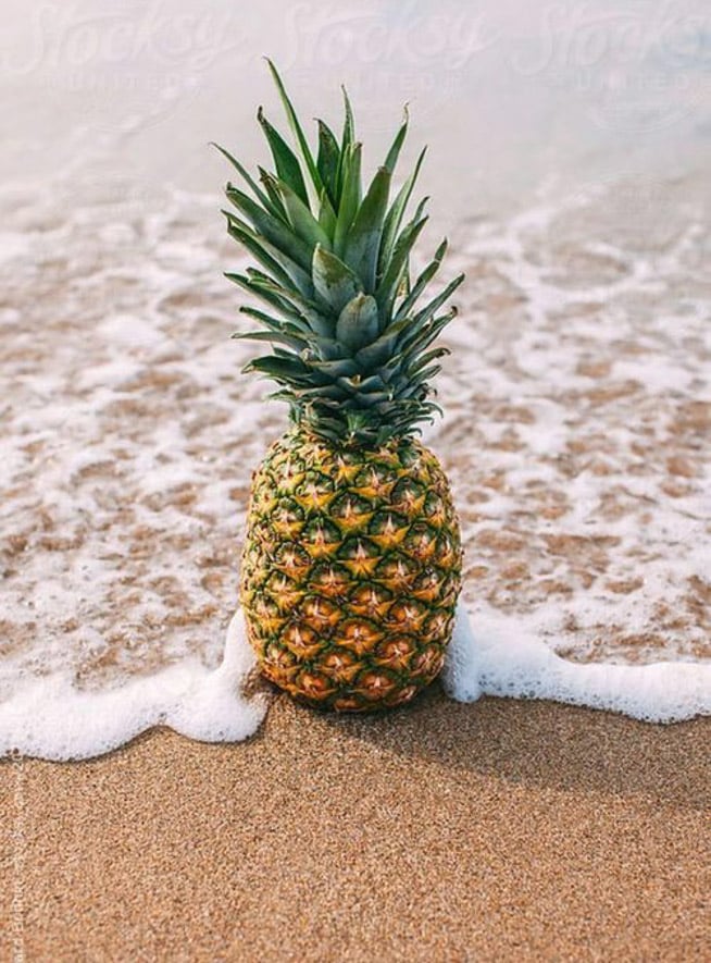 currently crushing on I howsweeteats.com