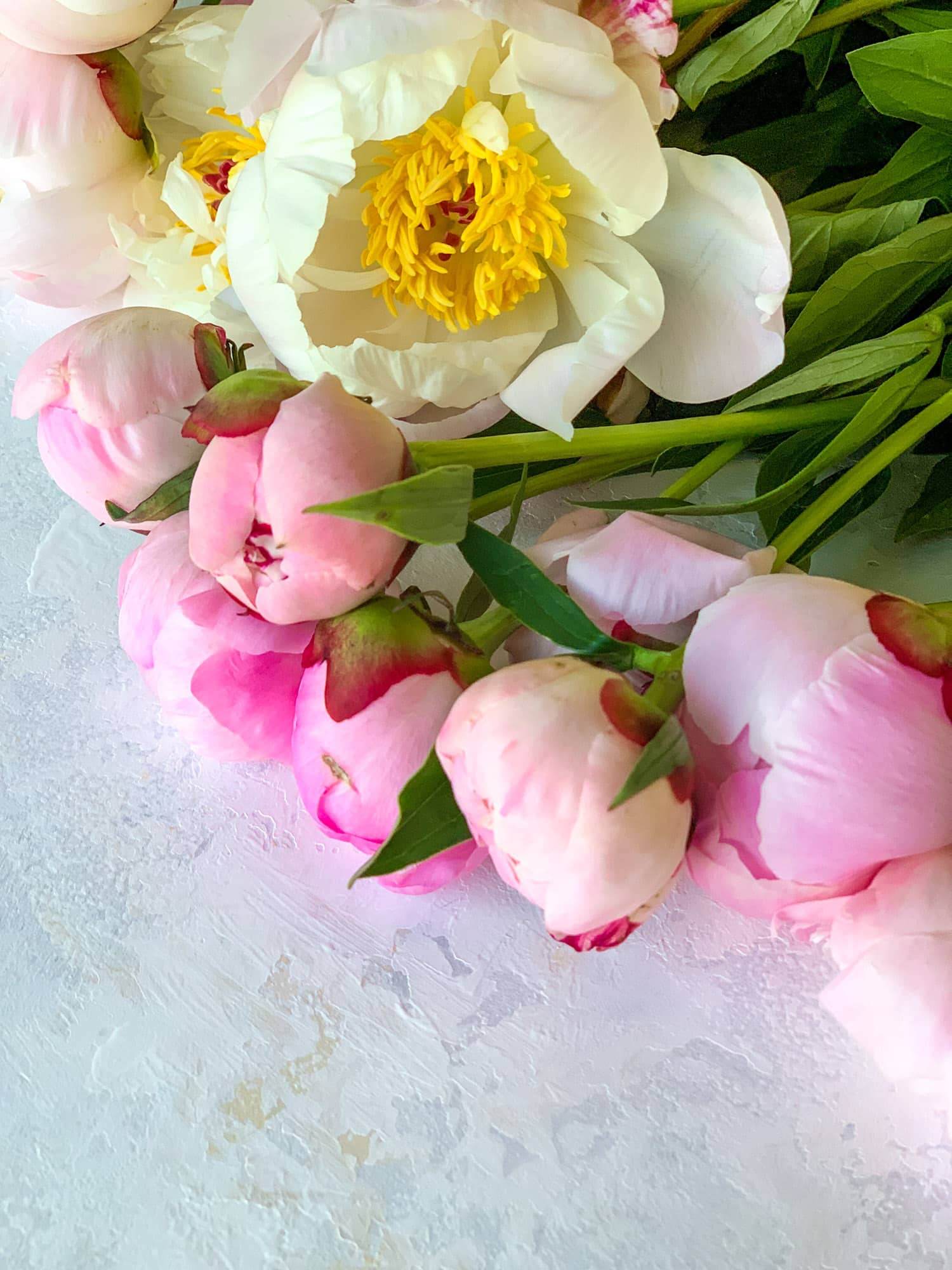 april favorites