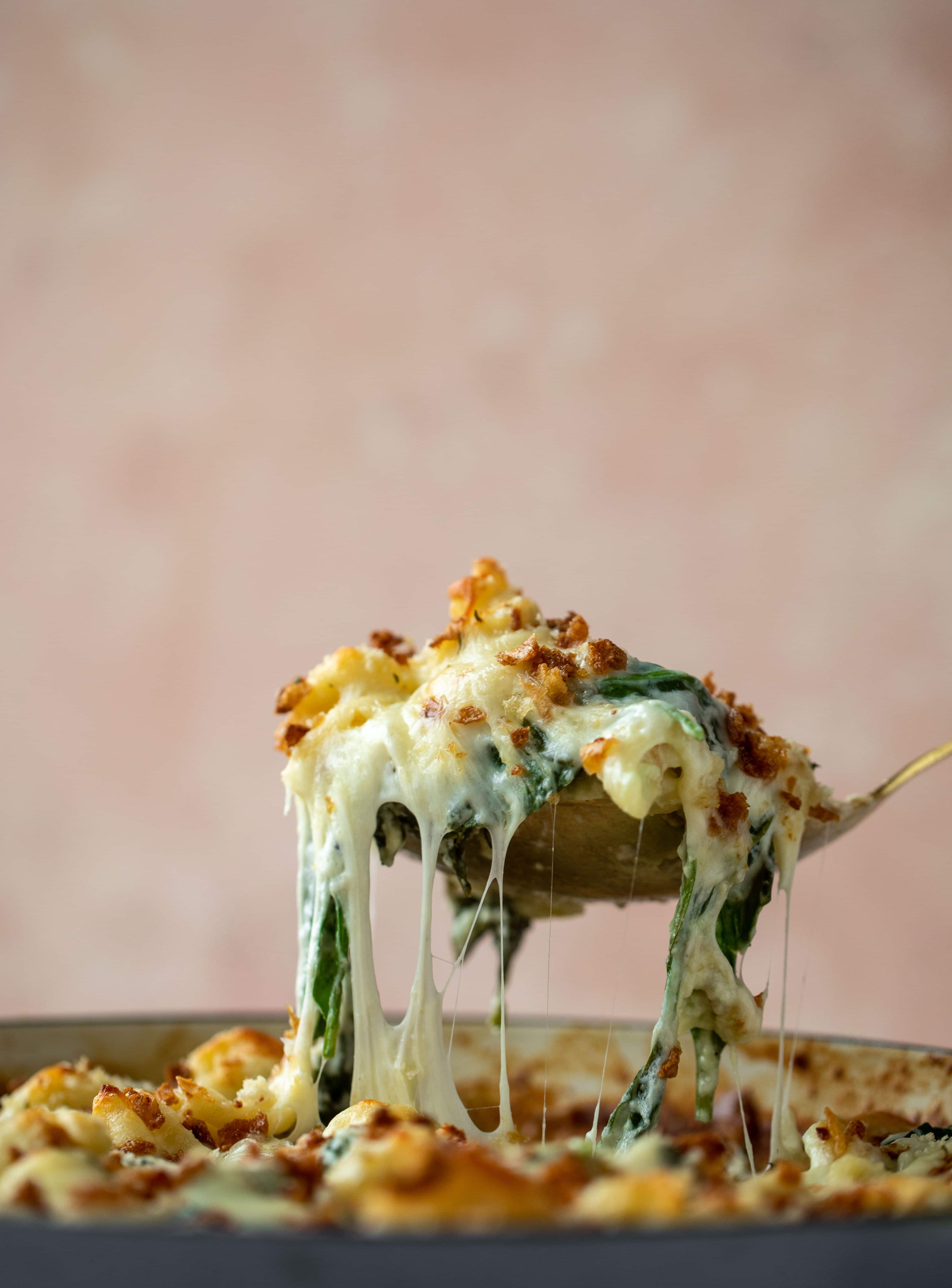 creamed spinach mac and cheese and 33 back to school dinners