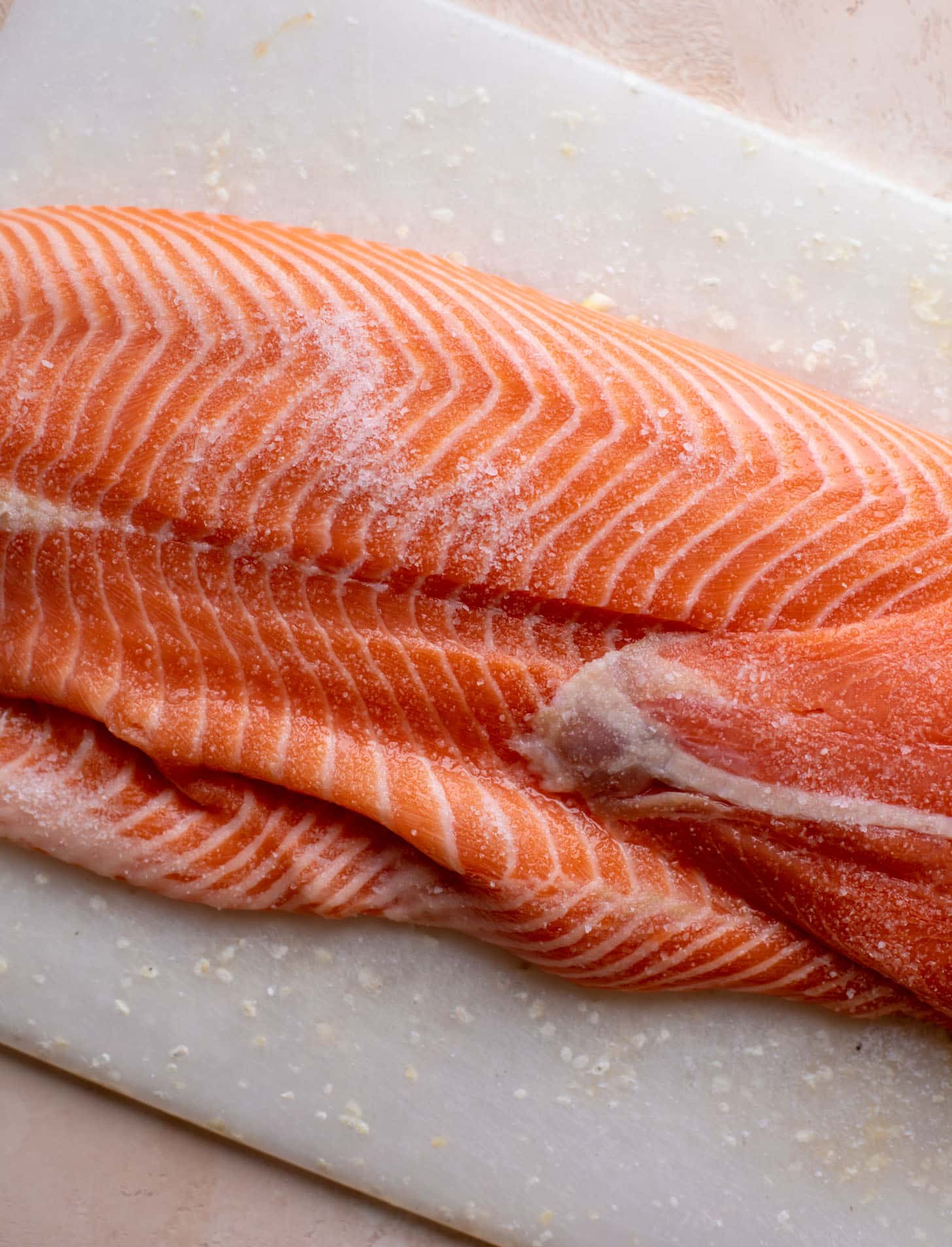 fresh salmon