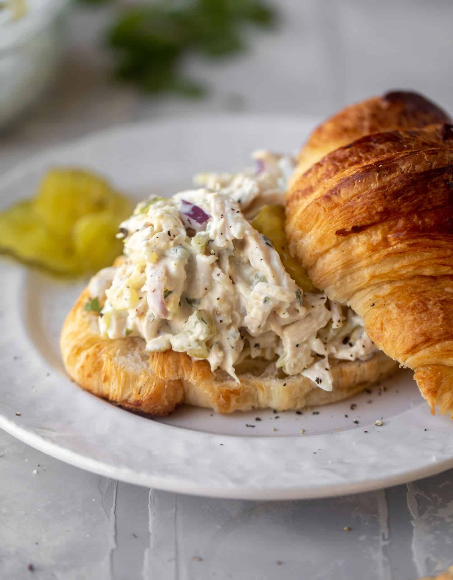 dill pickle chicken salad on a croissant