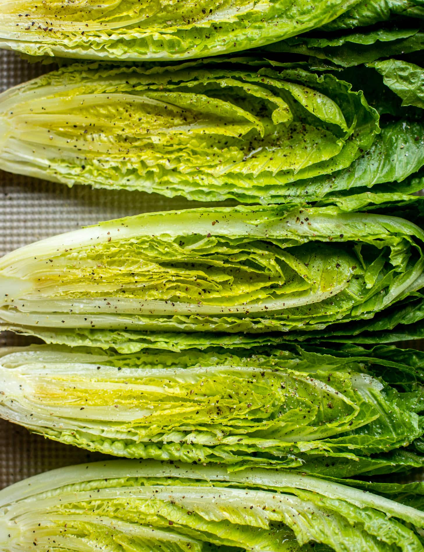 romaine lettuce
