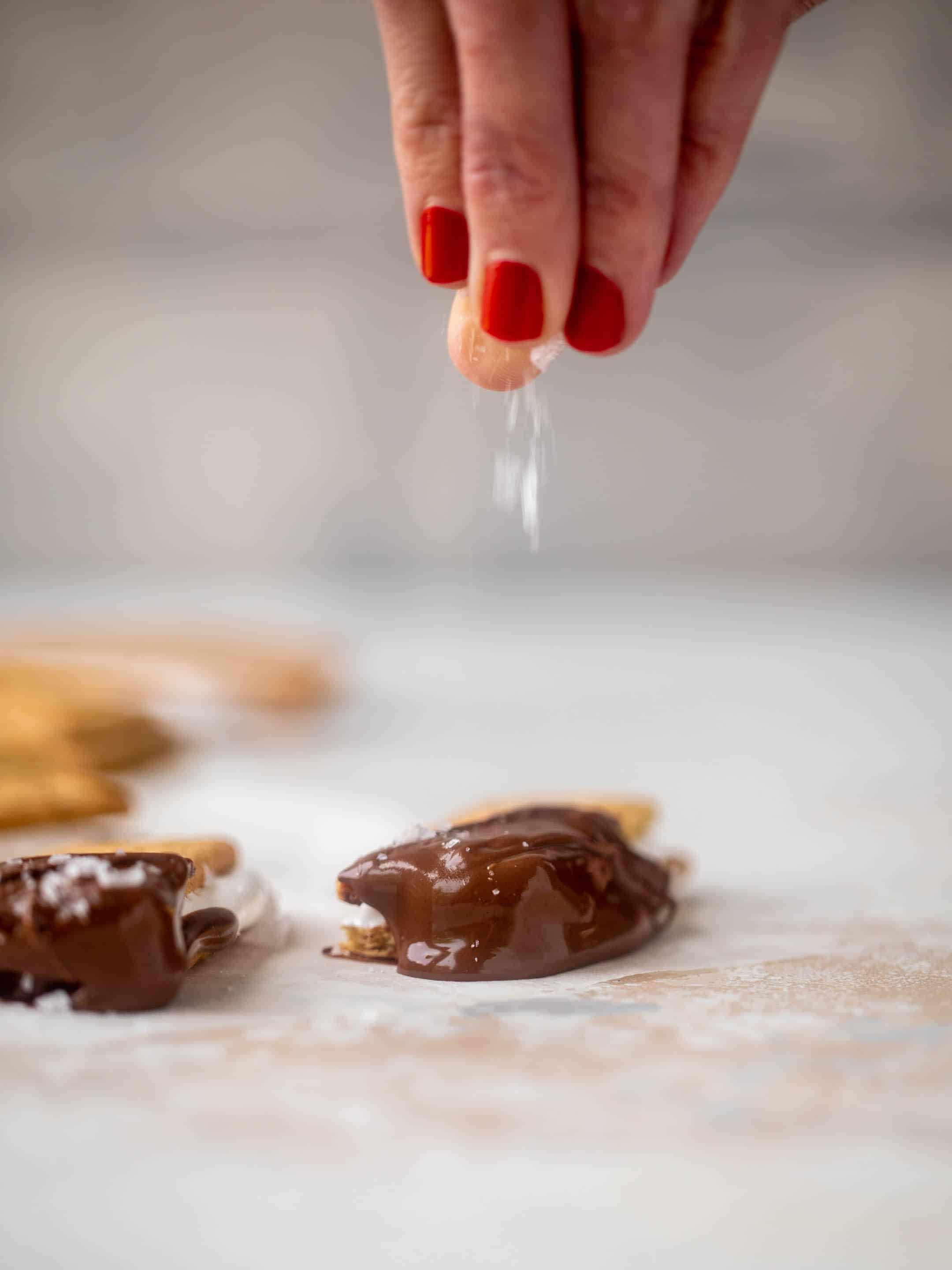 s'mores bites