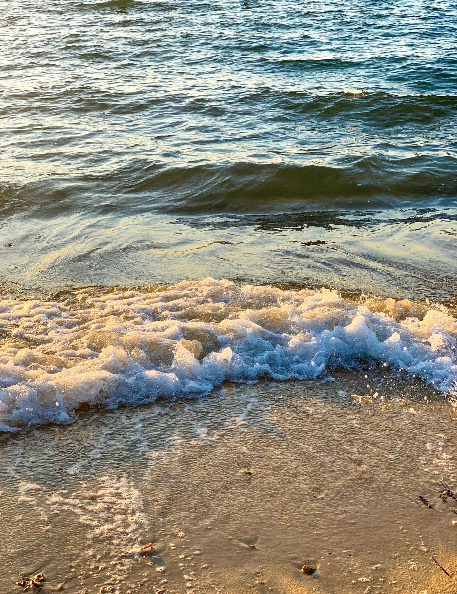 summer fridays